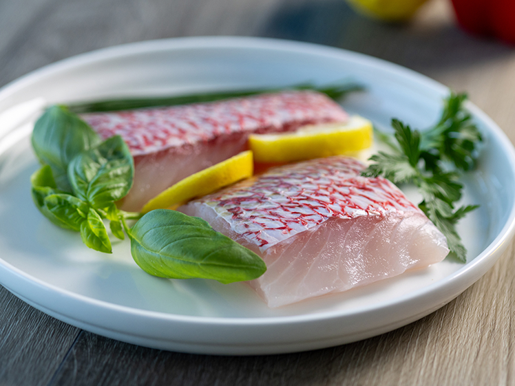 Fish - Direct Seafood