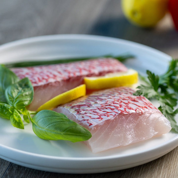 American Red Snapper - Direct Seafood