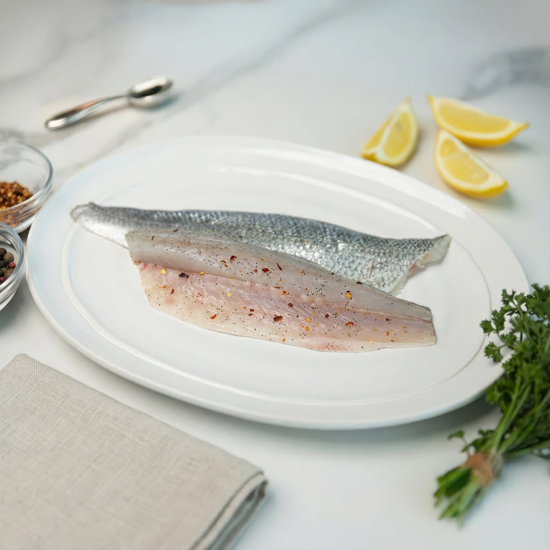 Bronzini - Direct Seafood