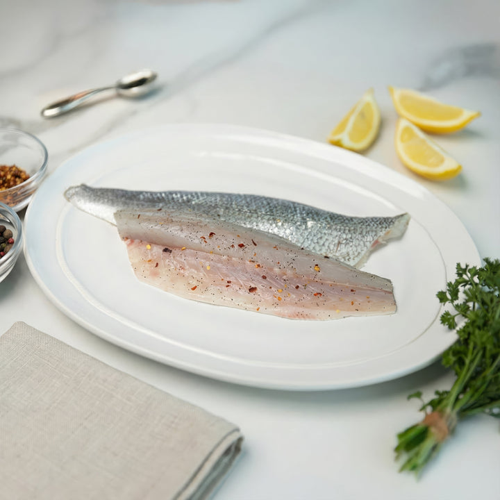 Bronzini - Direct Seafood