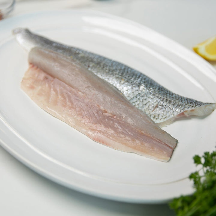 Bronzini - Direct Seafood