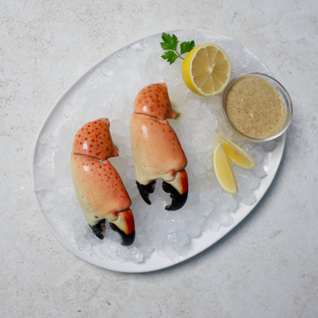 Colossal Stone Crab (Twin Packs) - Direct Seafood
