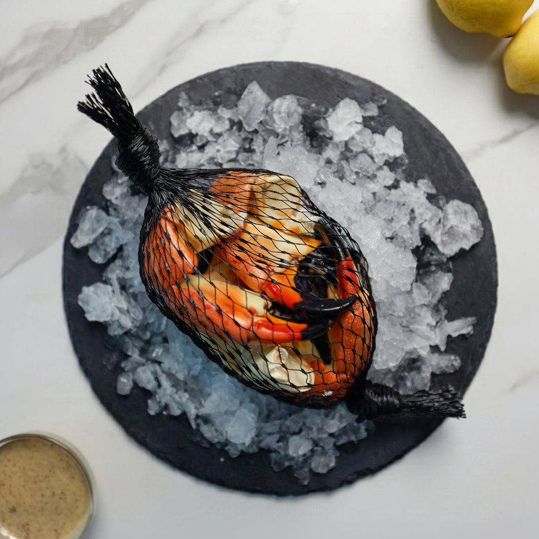 Jumbo Stone Crab - Direct Seafood