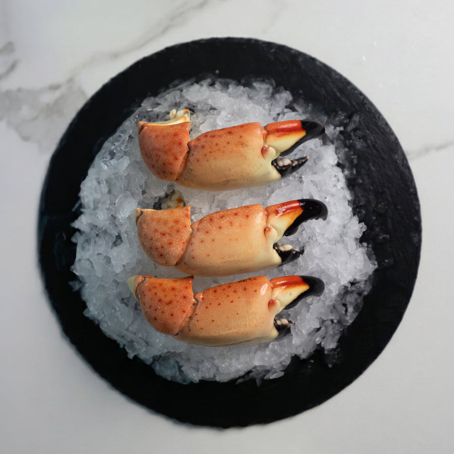 Jumbo Stone Crab - Direct Seafood