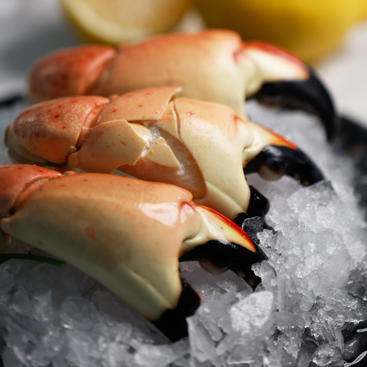 Jumbo Stone Crab - Direct Seafood