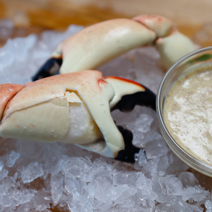 Large Stone Crab - Direct Seafood