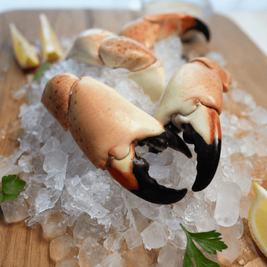 Large Stone Crab - Direct Seafood