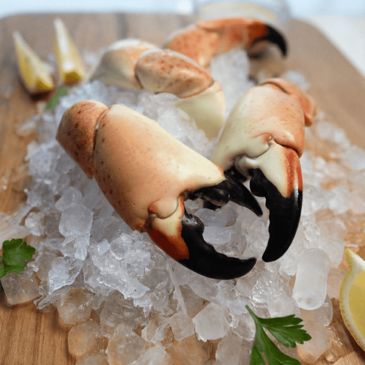 Large Stone Crab - Direct Seafood