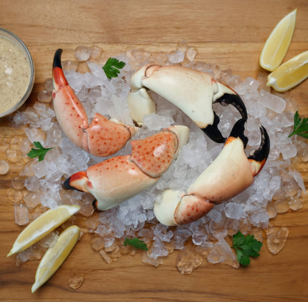 Large Stone Crab - Direct Seafood
