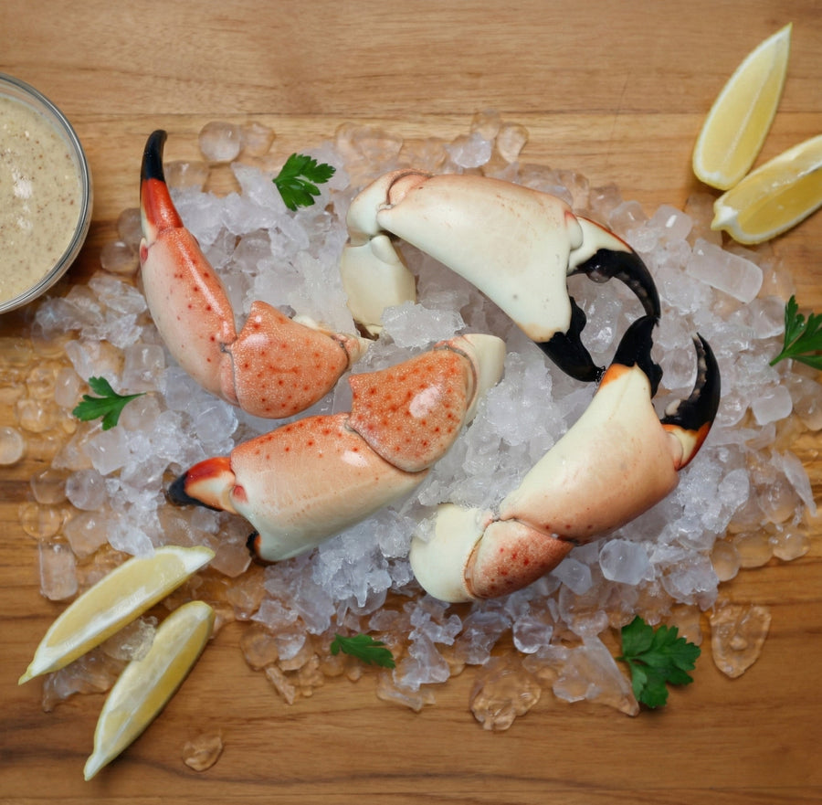 Large Stone Crab - Direct Seafood
