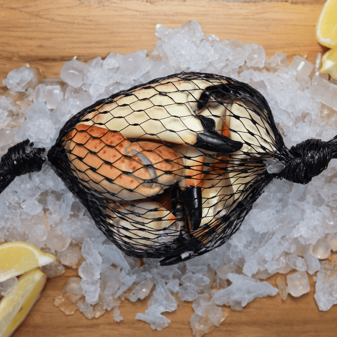 Large Stone Crab - Direct Seafood