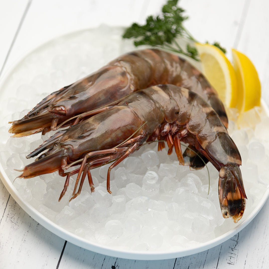 Madagascar Prawn - Direct Seafood