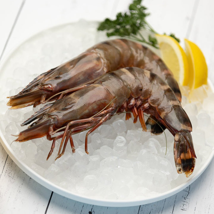 Madagascar Prawn - Direct Seafood
