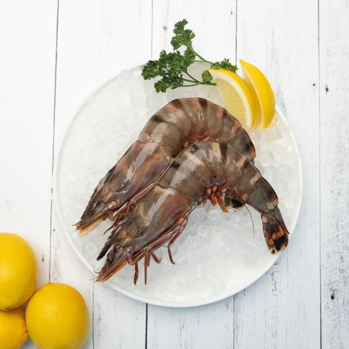 Madagascar Prawn - Direct Seafood