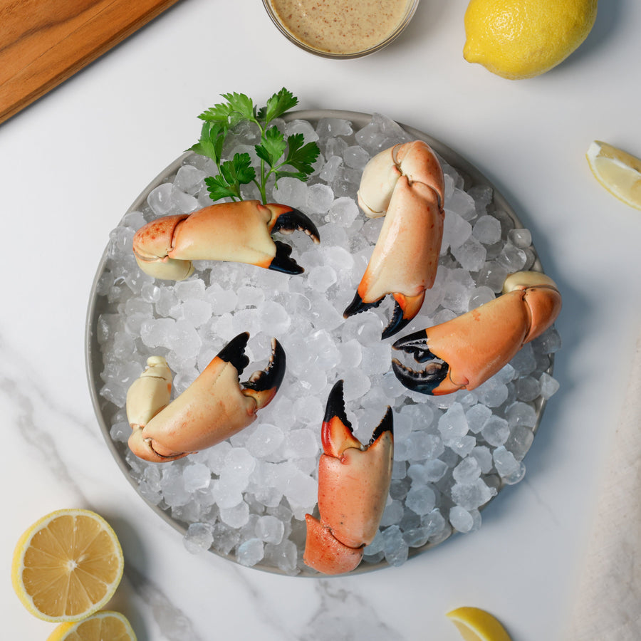 Medium Stone Crab - Direct Seafood