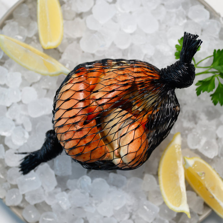Medium Stone Crab - Direct Seafood