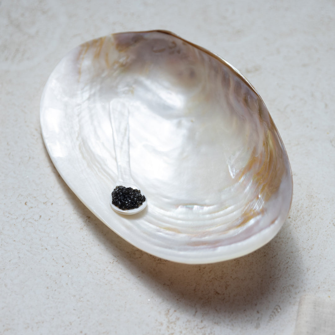 Mother of Pearl Caviar Plate - Direct Seafood