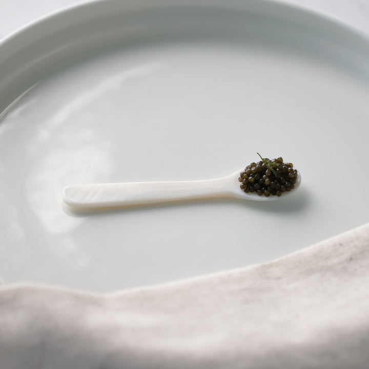 Mother of Pearl Caviar Spoon - Direct Seafood
