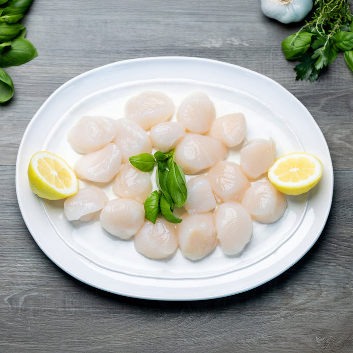New Bedford Dry Scallops - Direct Seafood