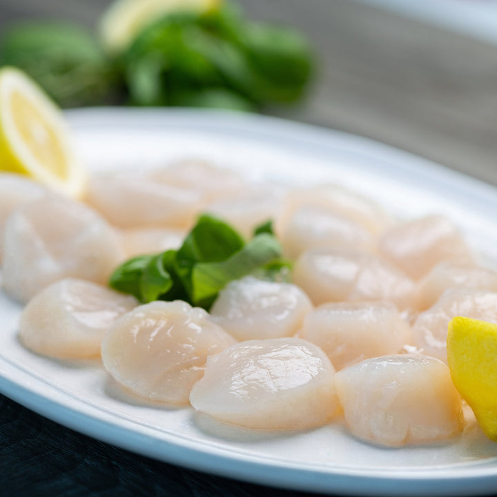 New Bedford Dry Scallops - Direct Seafood